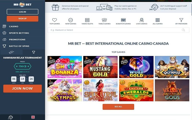 Internet casino